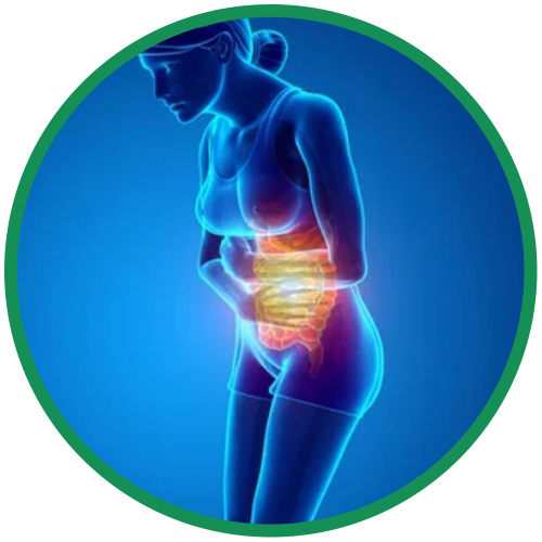 Dra. Rosana Schechter, Gastroenterologista especialista em Motilidade digestiva - Diarreia​