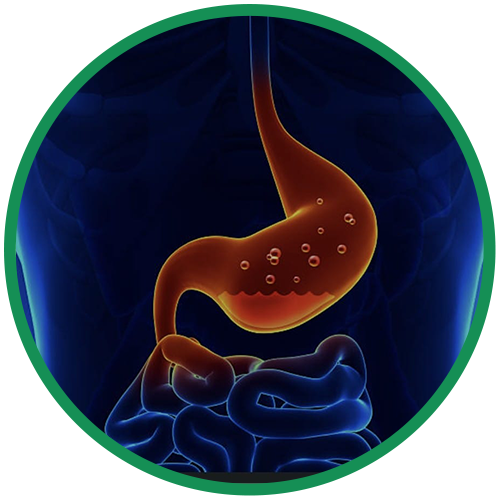 Dra. Rosana Schechter, Gastroenterologista especialista em Motilidade digestiva - Refluxo gastroesofagico