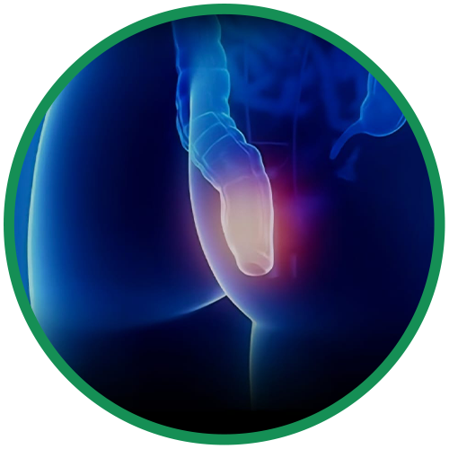 Dra. Rosana Schechter, Gastroenterologista especialista em Motilidade digestiva - incontinencia fecal