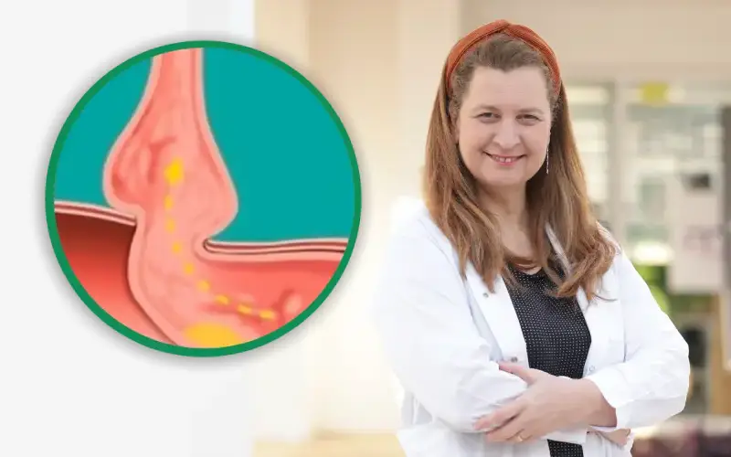 Dra. Rosana Schechter - Gastroenterologista em Israel - Tratamento para hérnia de hiato em Israel