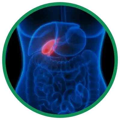 Dra. Rosana Schechter, Gastroenterologista especialista em Motilidade digestiva - Colelitíase - Pedra na vesícula