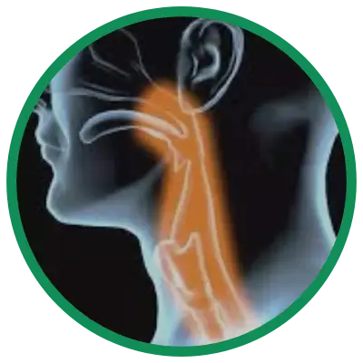Dra. Rosana Schechter, Gastroenterologista especialista em Motilidade digestiva - Disfagia - Dificuldade de engolir