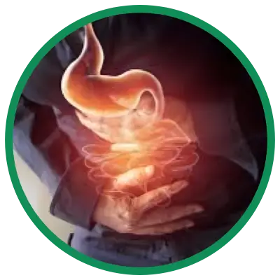 Dra. Rosana Schechter, Gastroenterologista especialista em Motilidade digestiva - Dor abdominal
