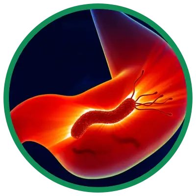 Dra. Rosana Schechter, Gastroenterologista especialista em Motilidade digestiva - Helicobacter pylori