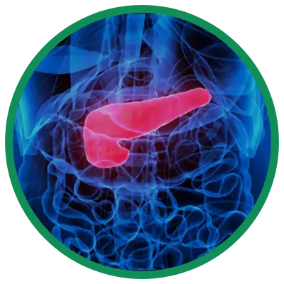 Dra. Rosana Schechter, Gastroenterologista especialista em Motilidade digestiva - Pancreatite aguda - inflamação no pâncreas
