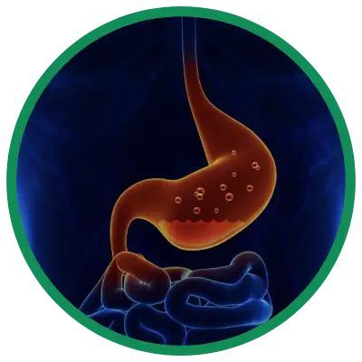 Dra. Rosana Schechter, Gastroenterologista especialista em Motilidade digestiva - Refluxo gastroesofagico